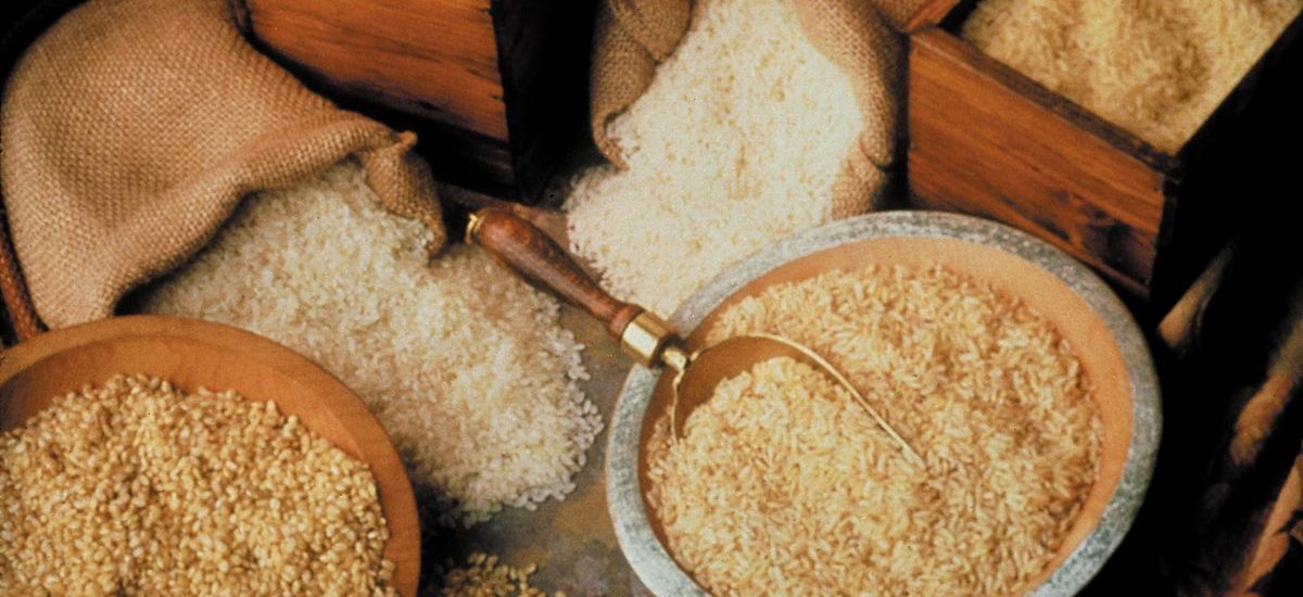 美国稻米供应量及使用量概况 pic