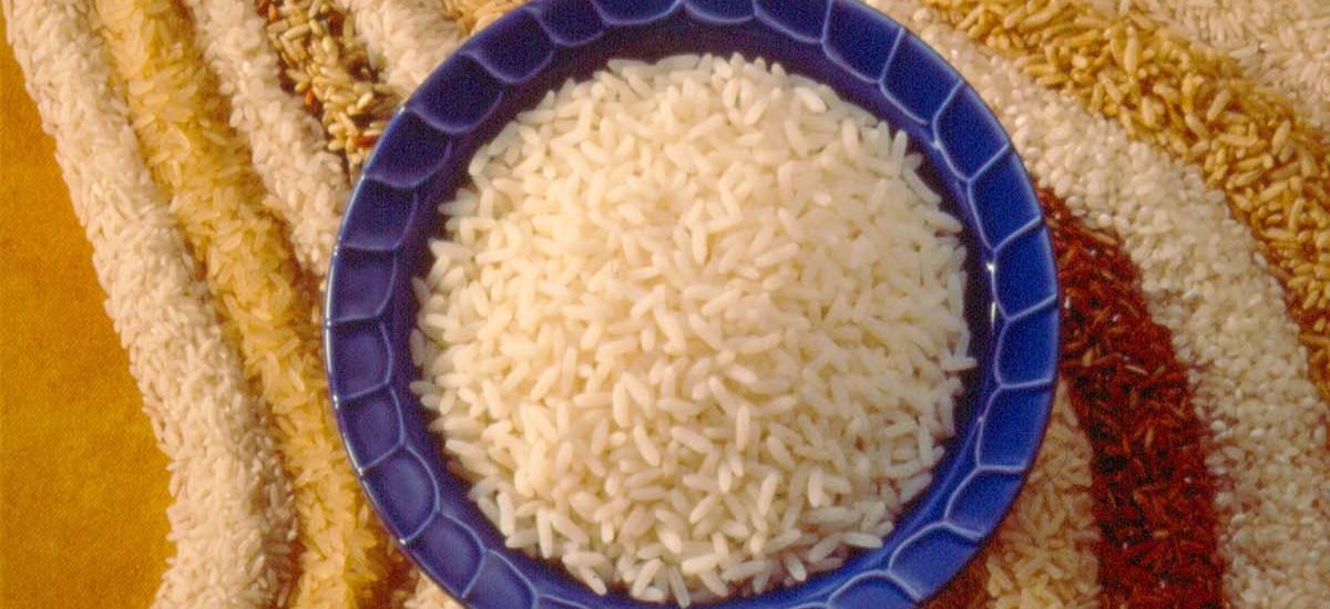 美国稻米的黄金传奇 pic