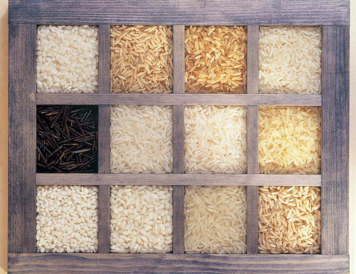 美国稻米产区 pic