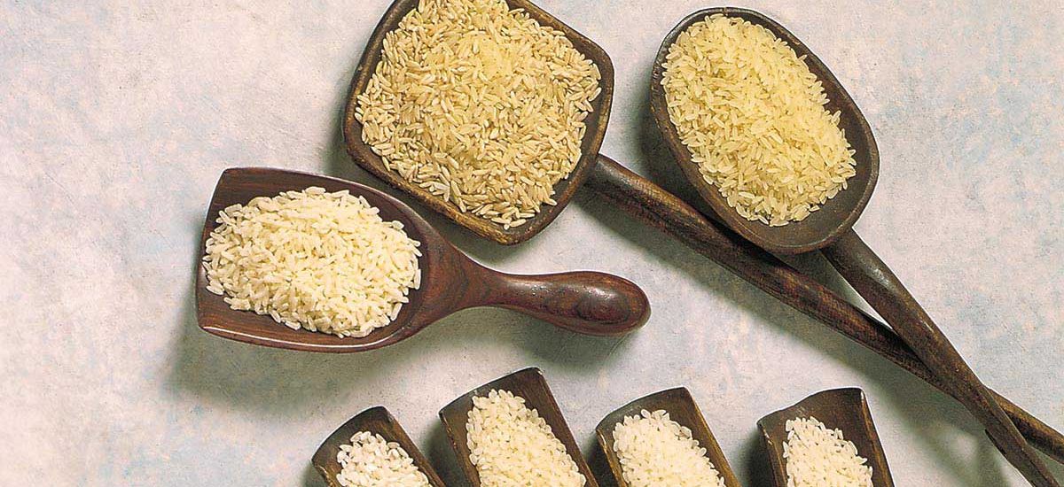 美国稻米的加工形式 pic
