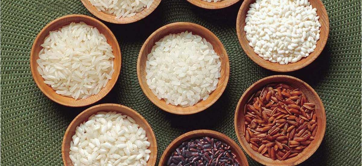 多样化的美国稻米品种 pic