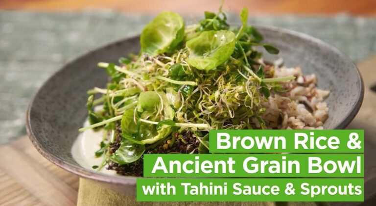 美国稻米公布植物性饮食风潮短片