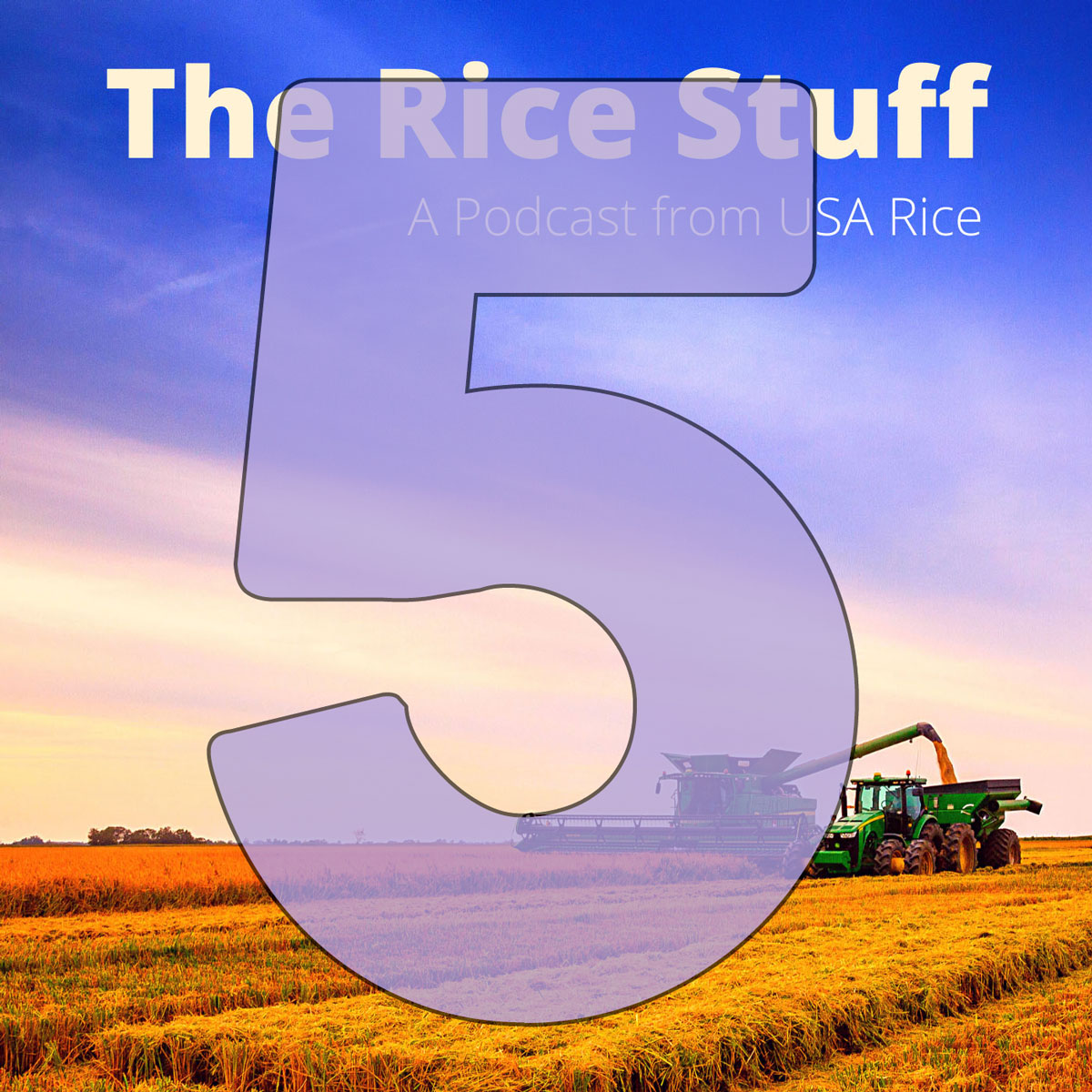 稻米之事播客更新：稻米农田独特的生物多样性 pic
