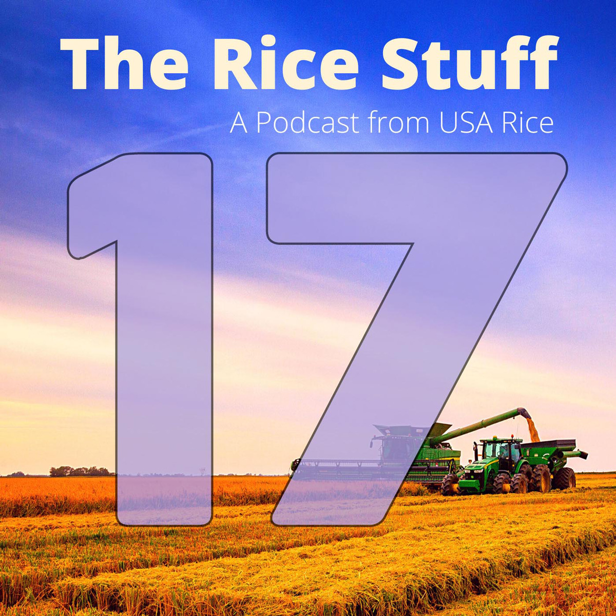 “稻米之事”播客探讨水资源使用效率问题 pic
