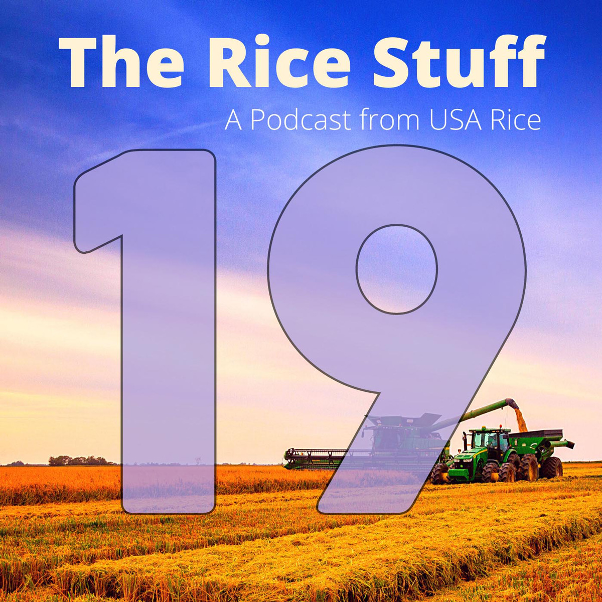 “稻米之事”播客探讨大米领导力项目 pic