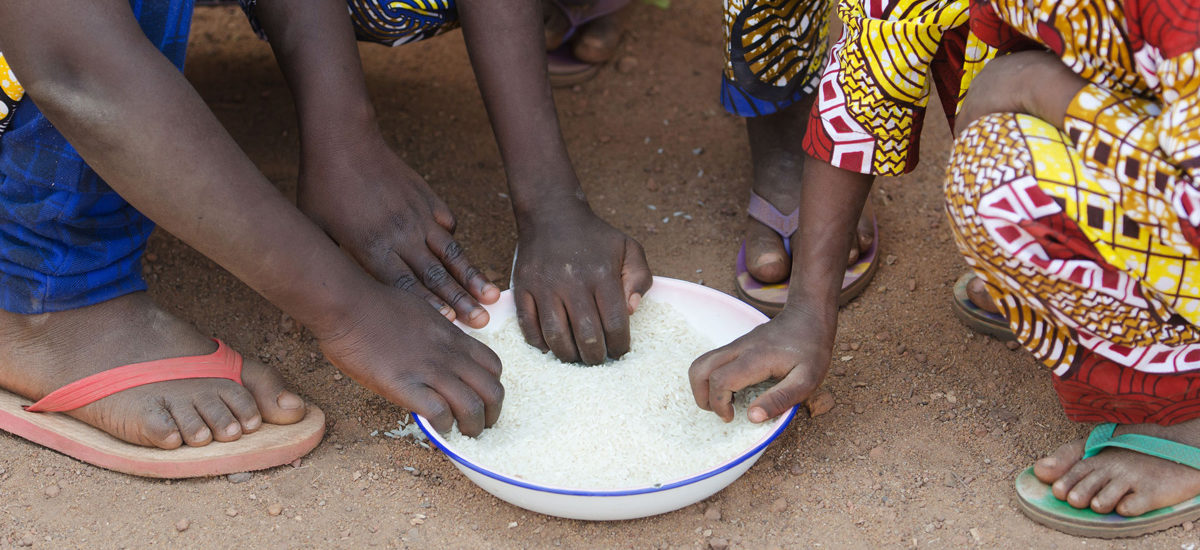 美国大米将作为食物援助项目的一部分运往西非 pic