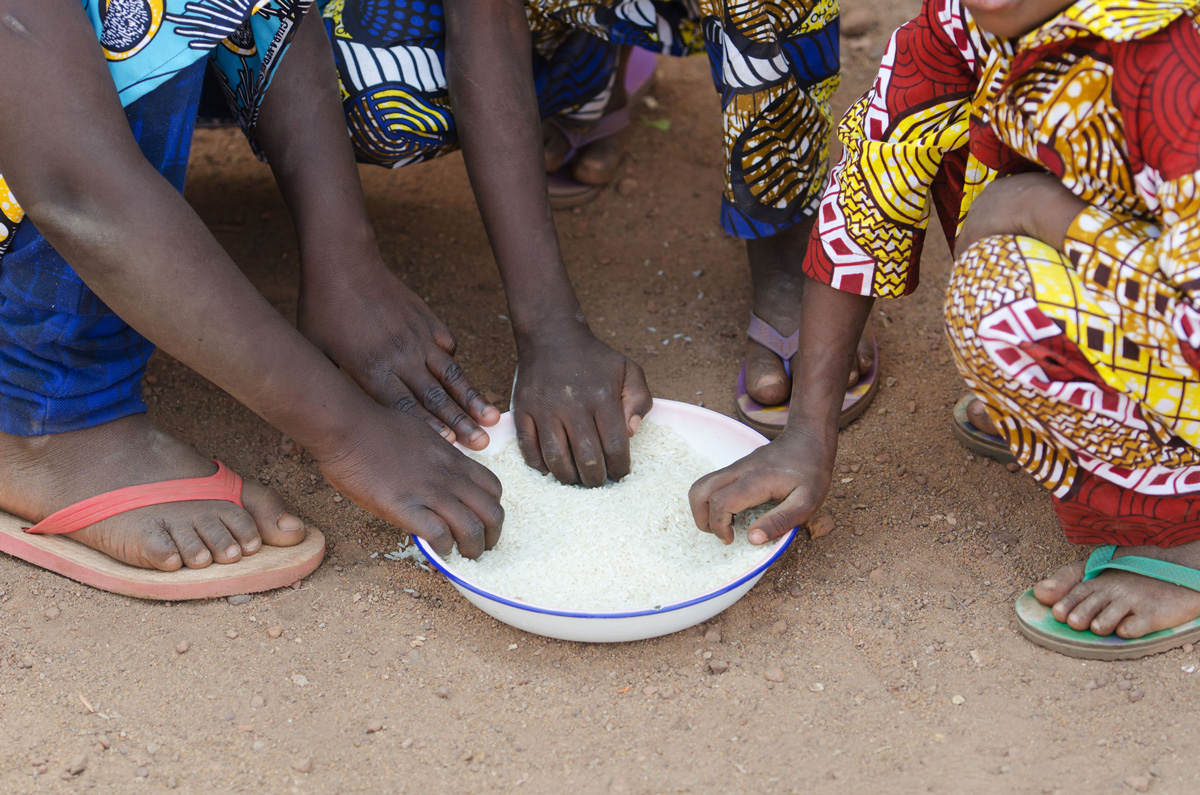 美国大米将作为食物援助项目的一部分运往西非 pic