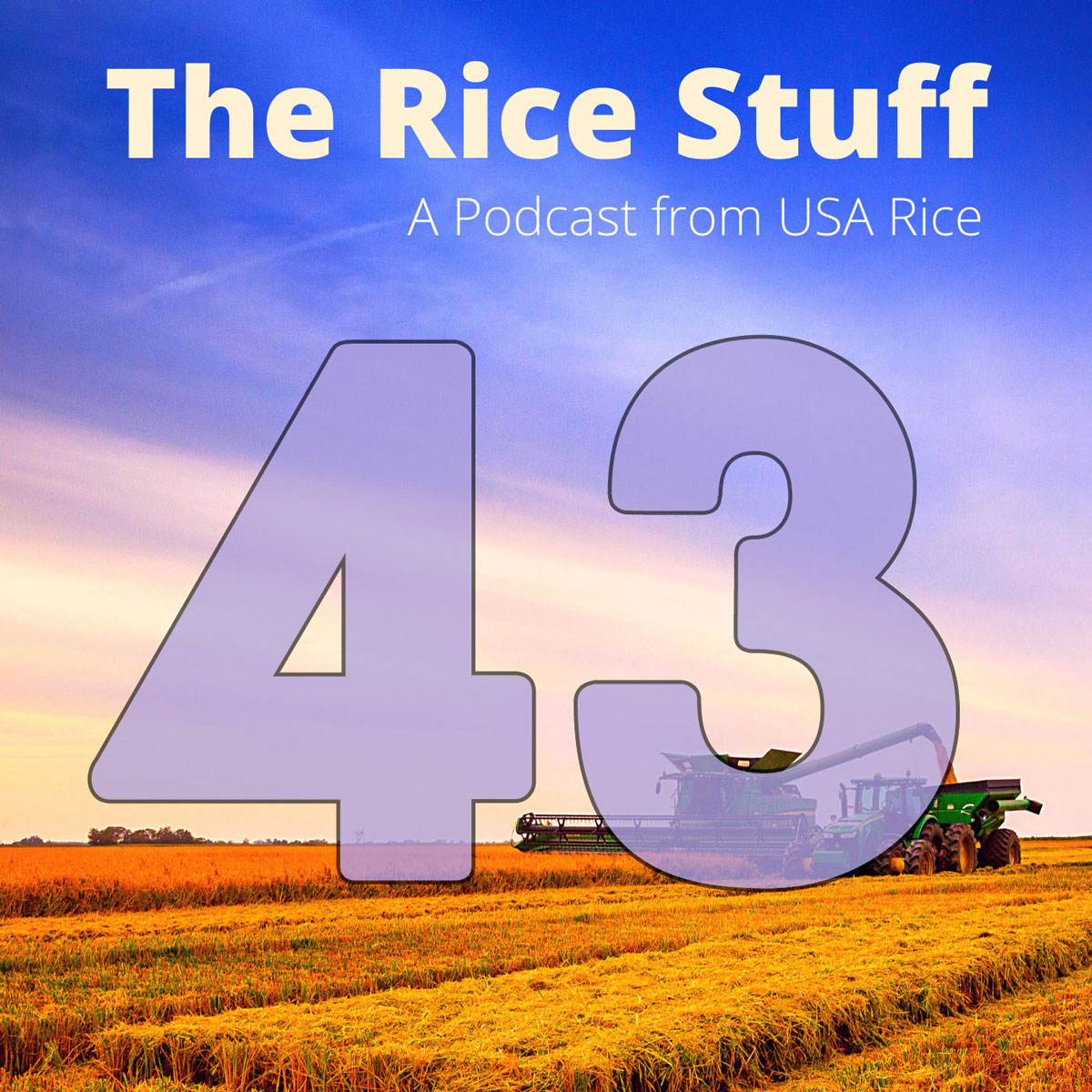 “稻米之事”播客探讨气候政策对稻米的影响 pic