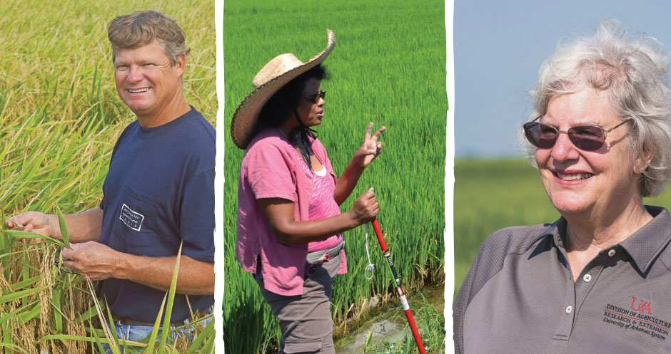 美国稻米行业颁发年度贡献、成就、领导力大奖 pic