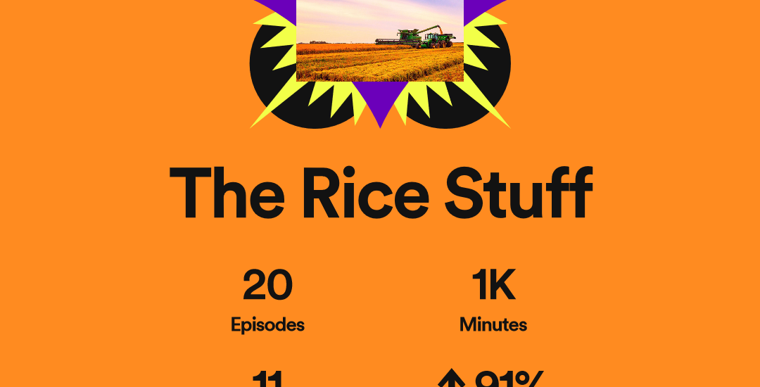 稻米之事博客取得巨大成功 pic