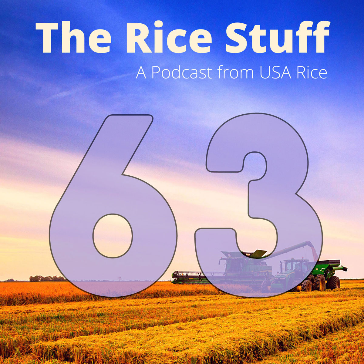 大厨参加稻米之事博客分享关于大米的烹饪技巧 pic