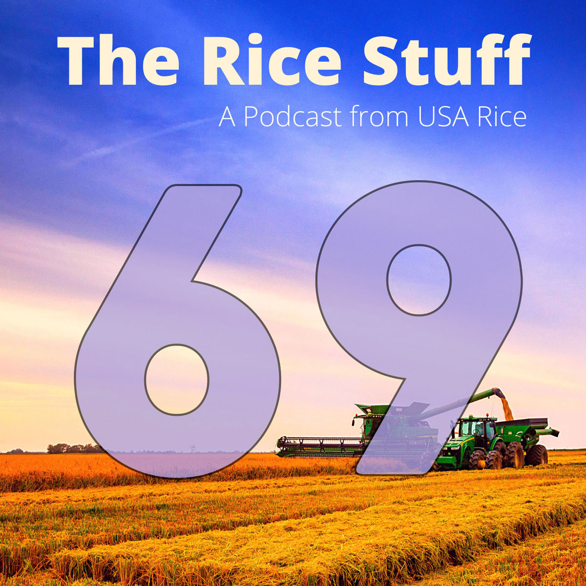 通过”稻米之事 “博客了解植物遗传学和育种 pic