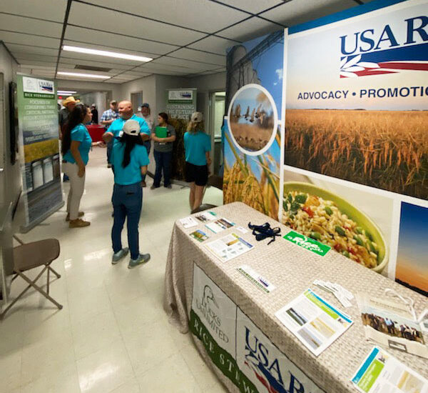 路易斯安那州和德克萨斯州的夏日水稻活动 pic