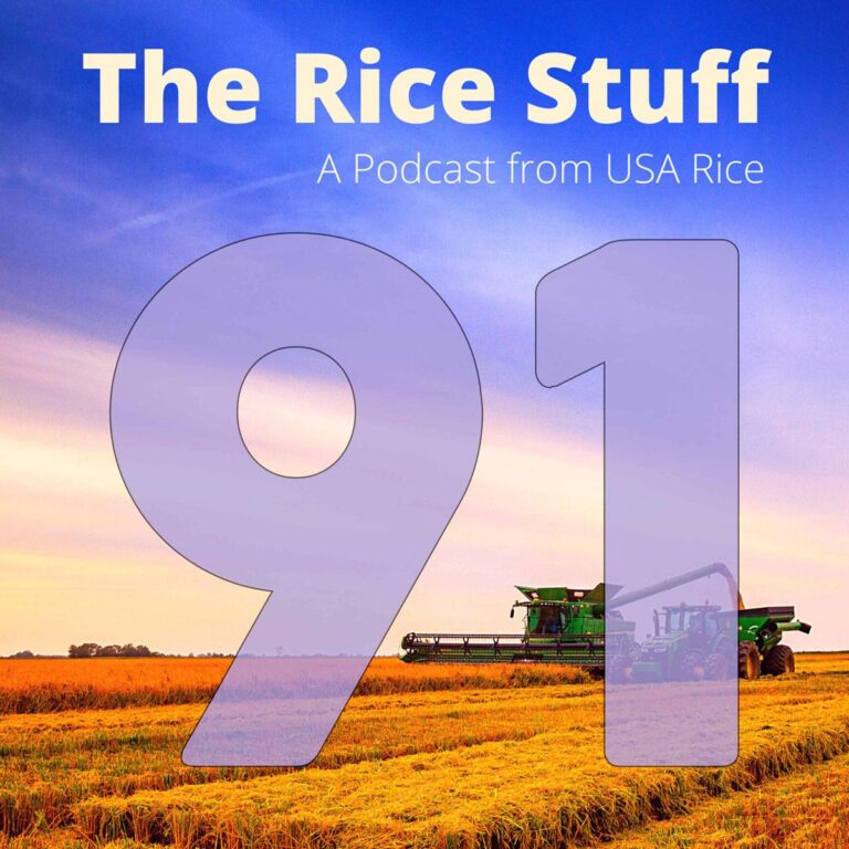 Hear how USA Rice achieved silver level status for helping promote the USDA MyPlate healthy eating initiative